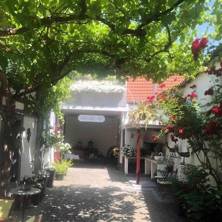 Ferienwohnung Im 'Schmoller - Hof' Нойштадт-ан-дер-Вайнштрасе Экстерьер фото
