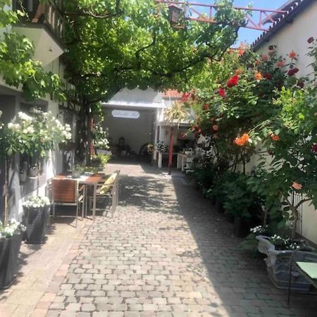 Ferienwohnung Im 'Schmoller - Hof' Нойштадт-ан-дер-Вайнштрасе Экстерьер фото