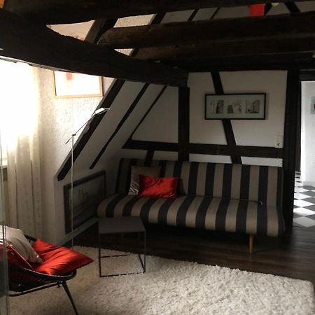 Ferienwohnung Im 'Schmoller - Hof' Нойштадт-ан-дер-Вайнштрасе Экстерьер фото