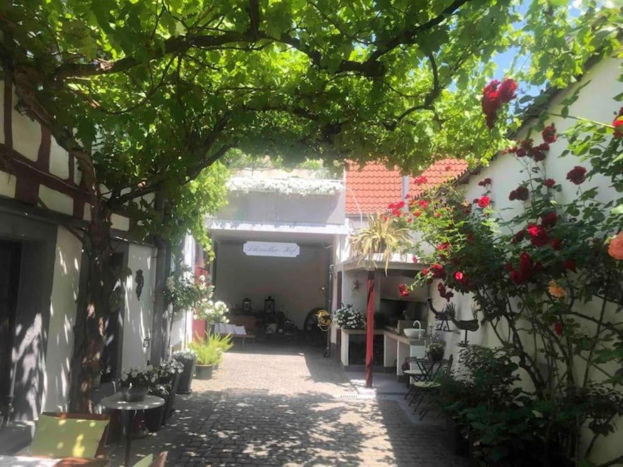 Ferienwohnung Im 'Schmoller - Hof' Нойштадт-ан-дер-Вайнштрасе Экстерьер фото