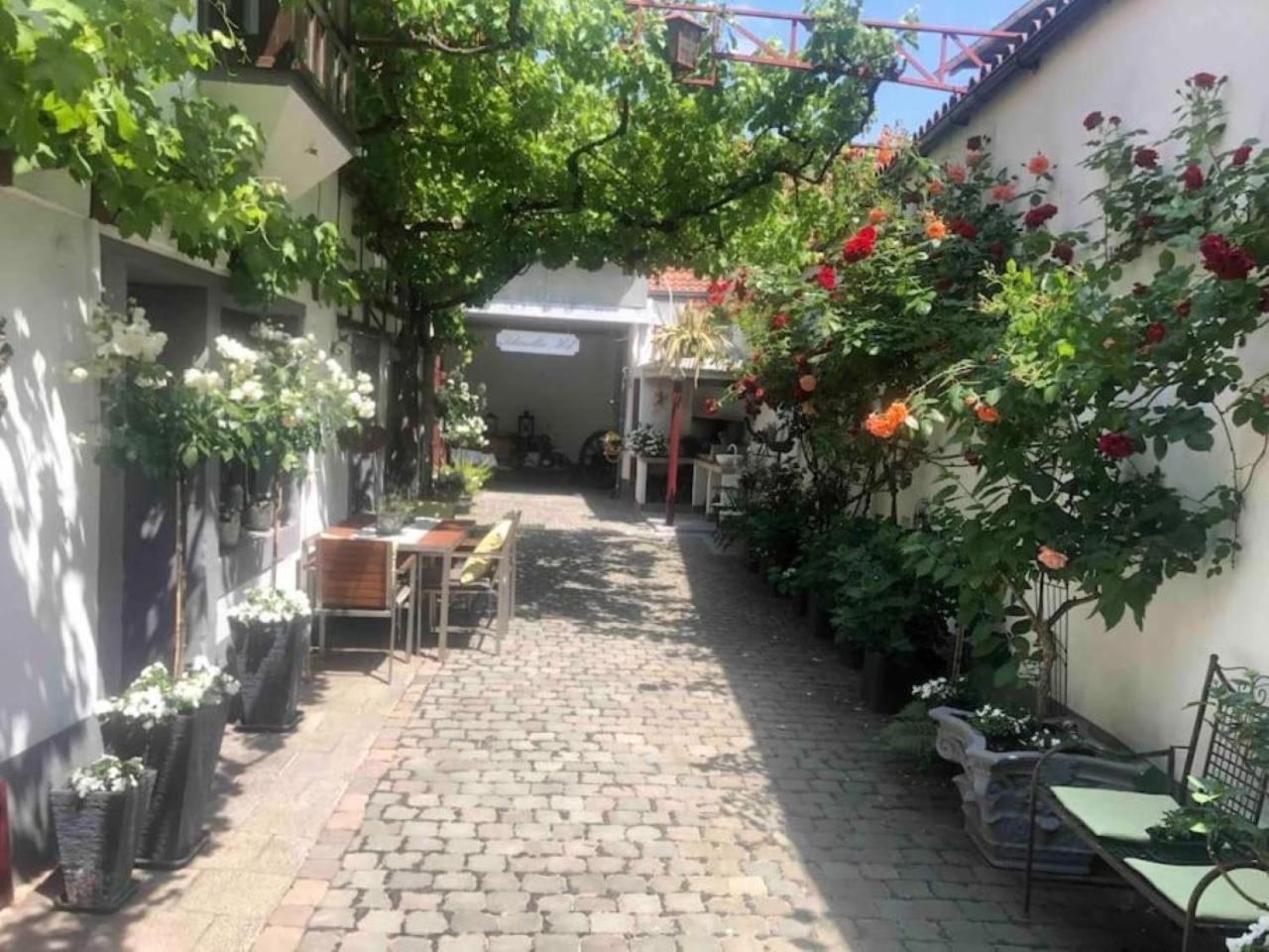 Ferienwohnung Im 'Schmoller - Hof' Нойштадт-ан-дер-Вайнштрасе Экстерьер фото